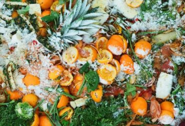 avoidable food waste