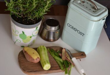 food waste management solutions