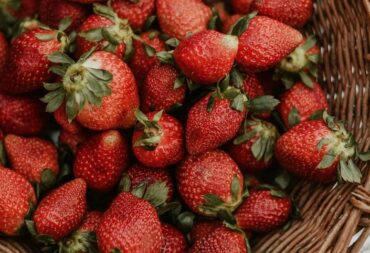 ugly produce food waste