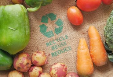 food waste and circular economy