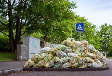 food waste management guide