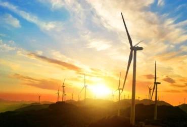 Linden Renewable Energy Project feature image