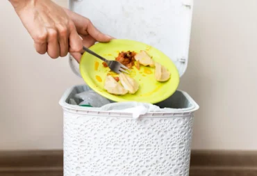 food spoilage coverage insurance feature image