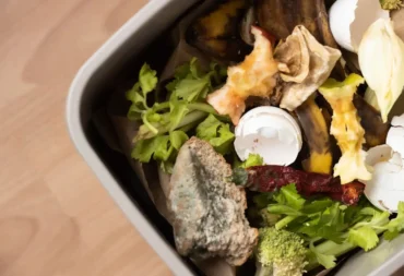 food waste log feature image