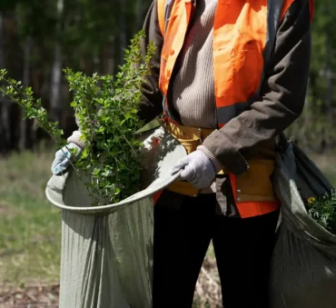 commerical composting feature iamge