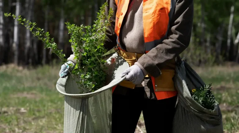 commerical composting feature iamge