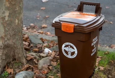 Composting in NYC.