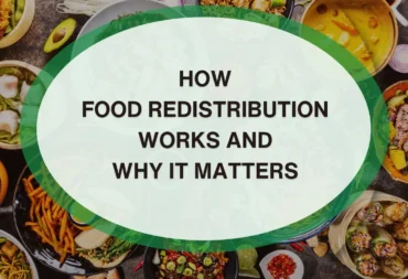 How Food Redistribution Works and Why It Matters Feature Image