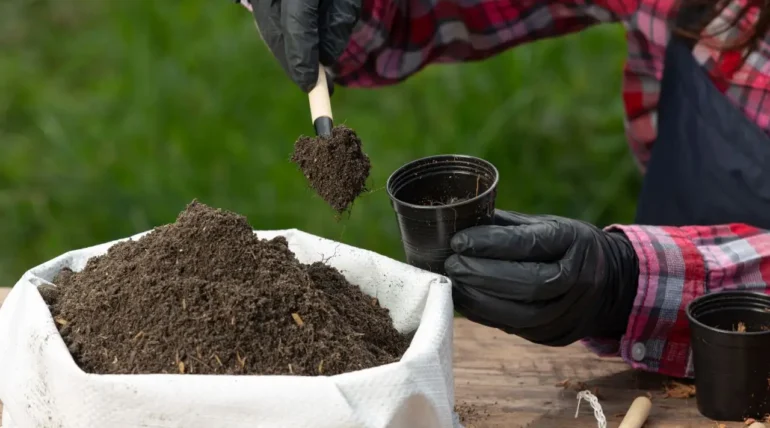 how to speed up composting feature image