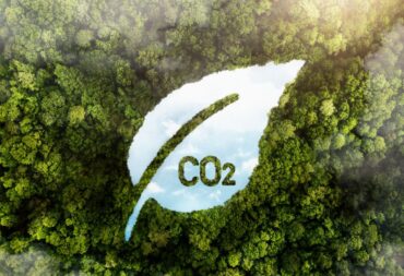 biochar carbon credit feature image