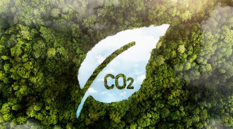 biochar carbon credit feature image