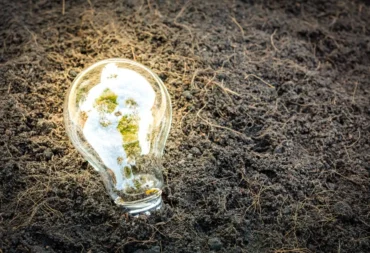 Organic Waste to Energy feature image