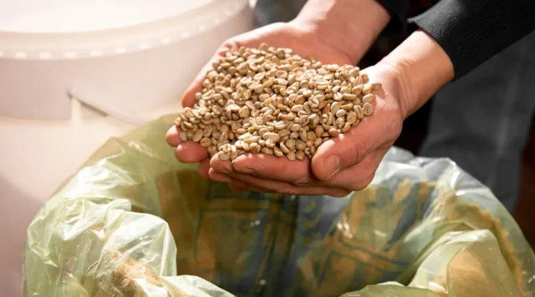 Spent Grains Management: Complete Brewery Byproduct Guide